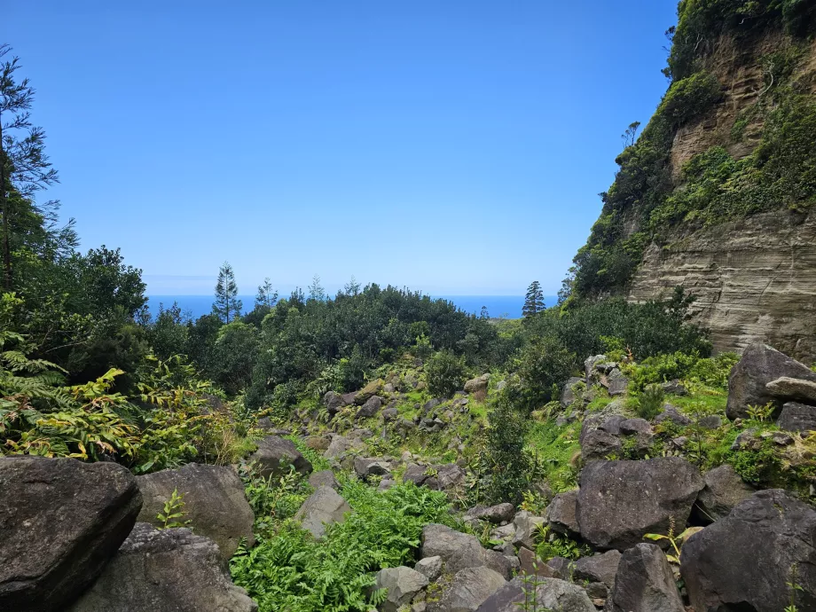 Пътят към Cascata da Ribeira Grande