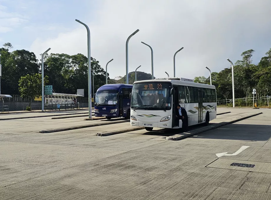 Автобуси до Ngong Ping