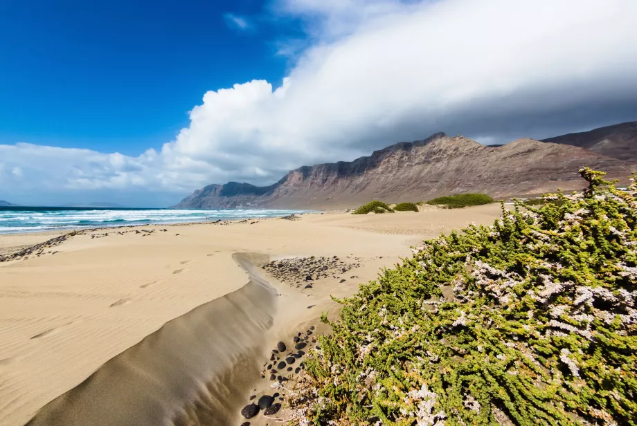 Плаж Famara