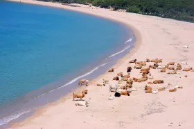 Плаж Erbaju