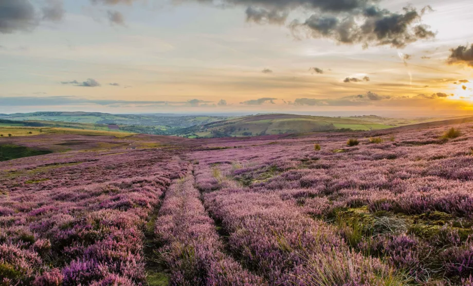 НП Peak District