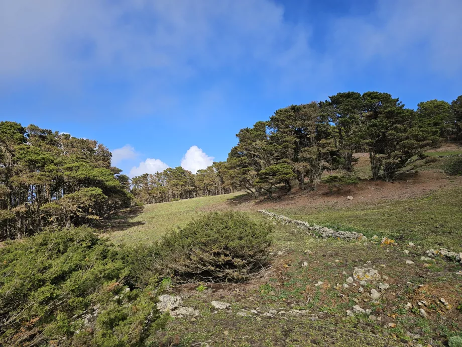 Западен El Hierro