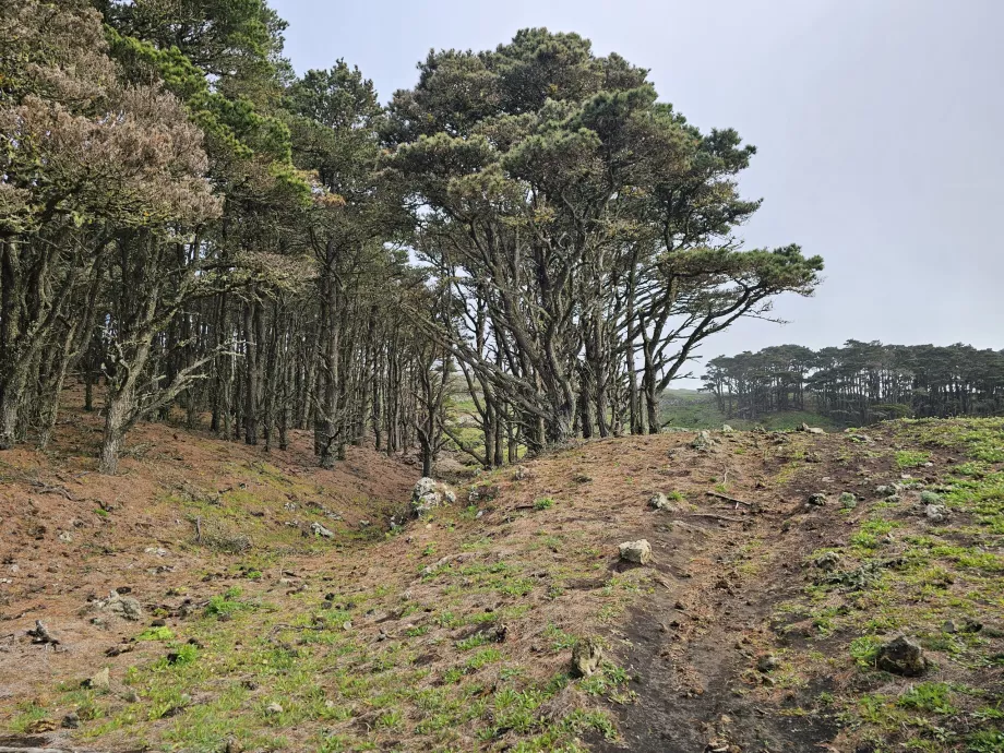 Западен El Hierro