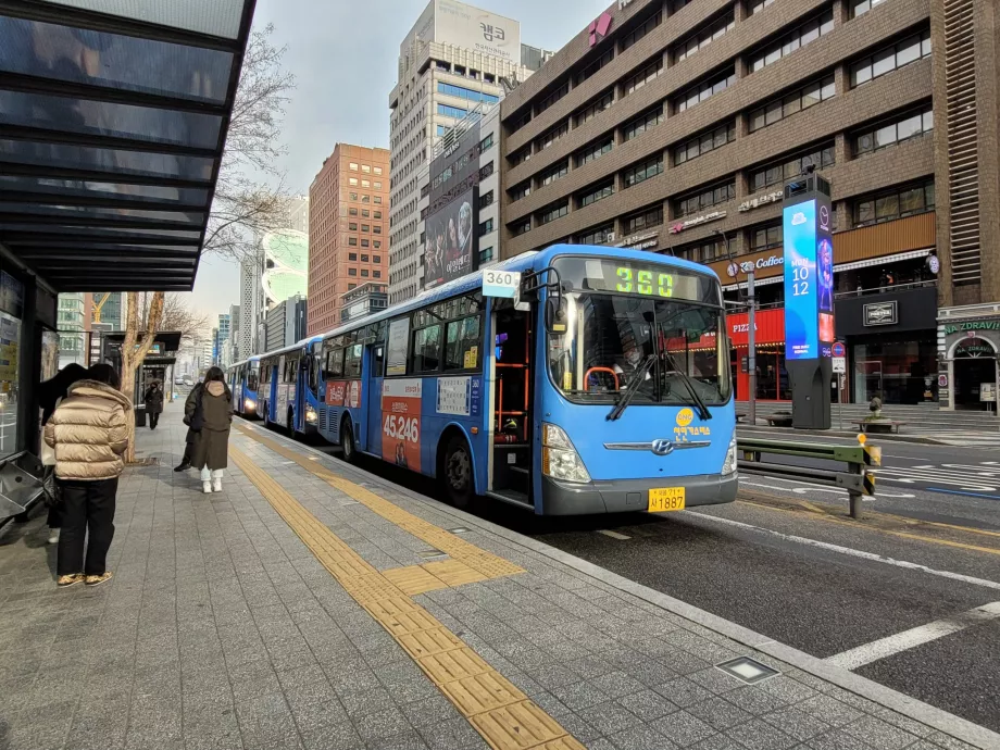 Blue Bus, Сеул