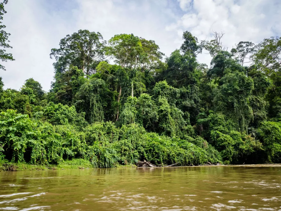 Ulu Temburong