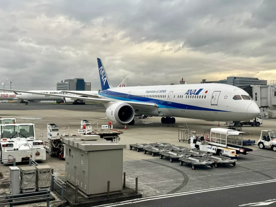 Боинг 787 на ANA