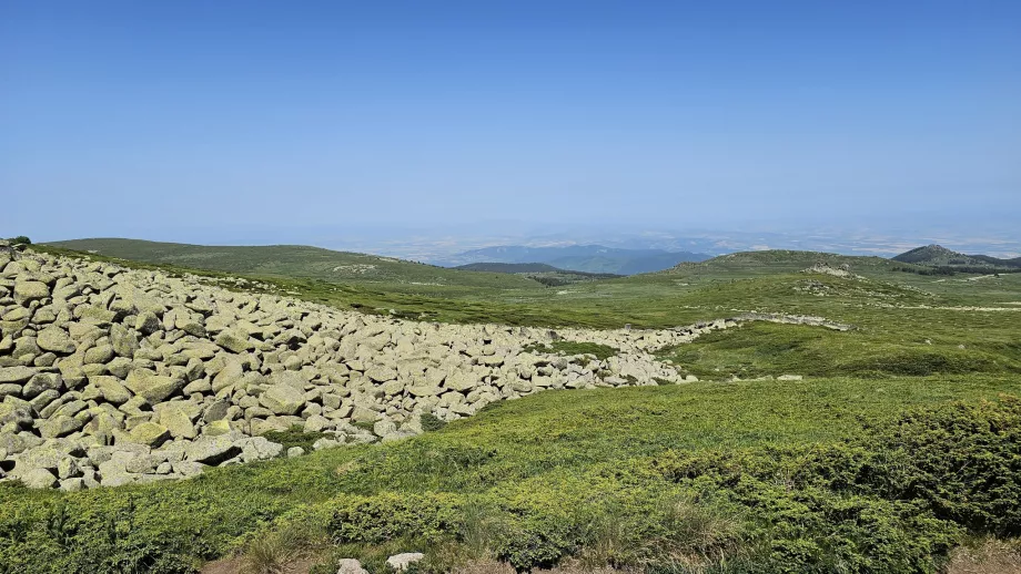 Гледки в планината Витоша