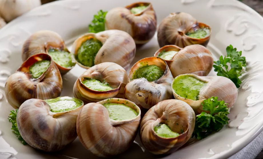 Snails